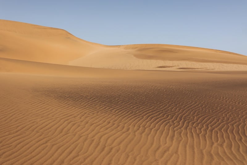 Desert Expeditions